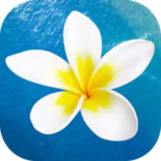 Hawaii Activities - VELTRA