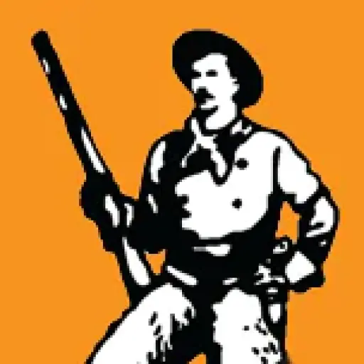 Henrygunstore