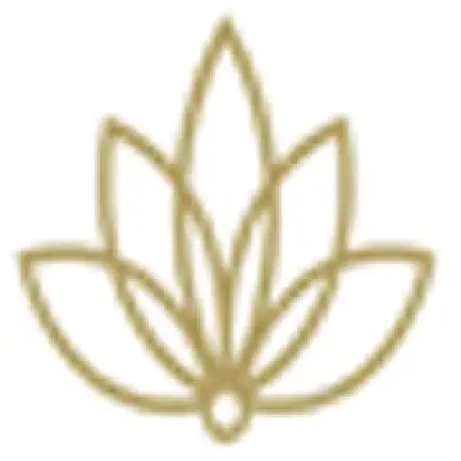 Holistic Healing Solution / Alessandro Mancini