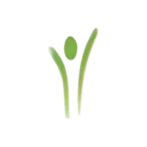 Holistic Medical Wellness