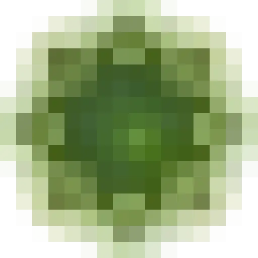 Holisticselect