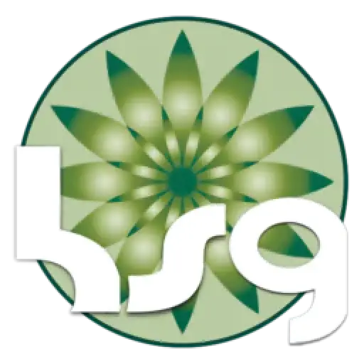 Holistic Services Group