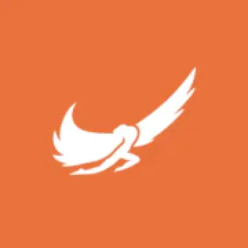 Icarus Jet
