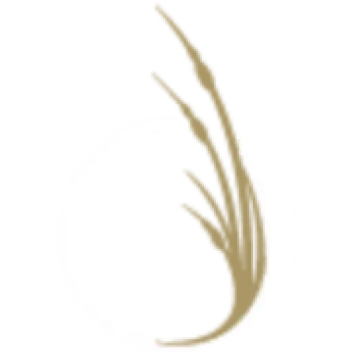 icona.com