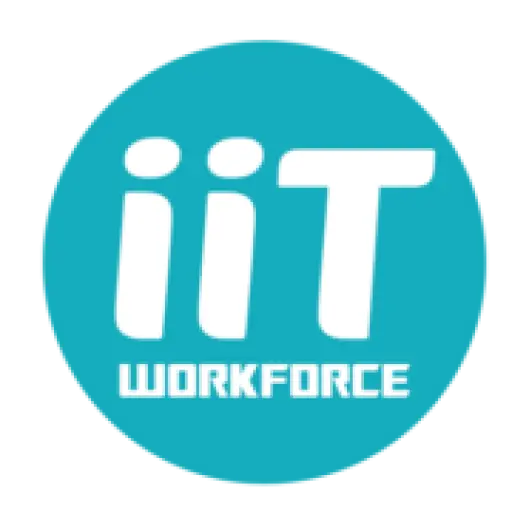 IIT Work Force