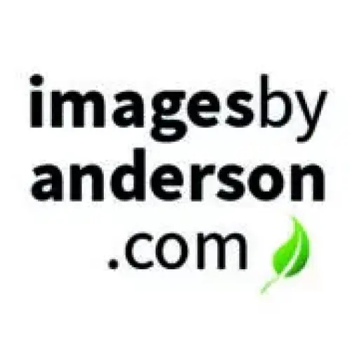 Imagesbyanderson