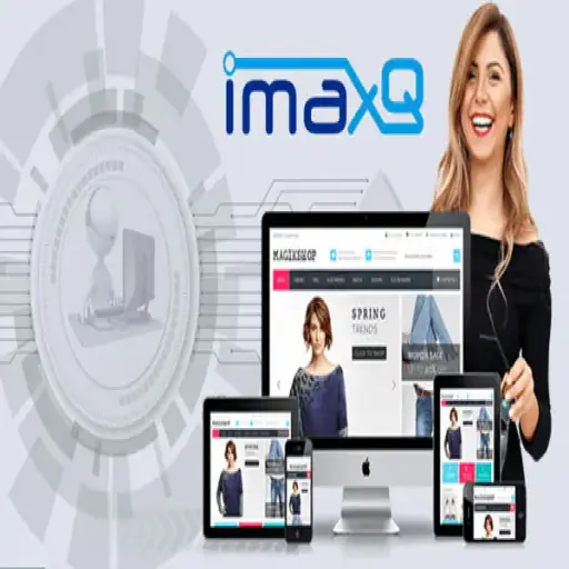 IMAXQ LLC