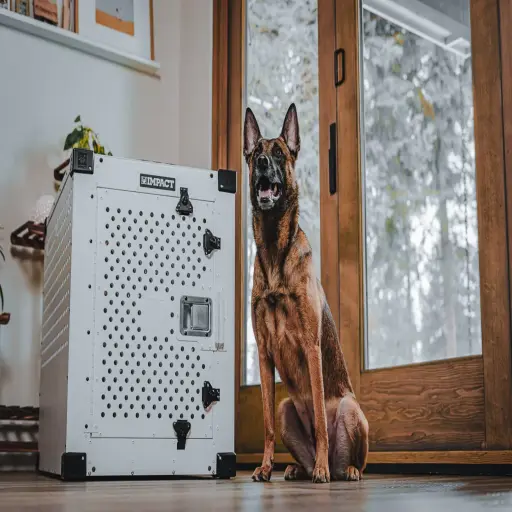Impact Dog Crates
