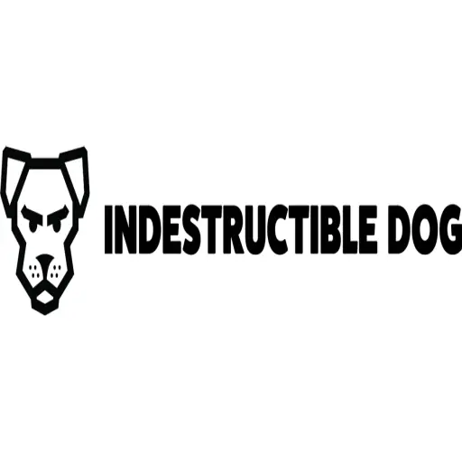 Indestructible Dog