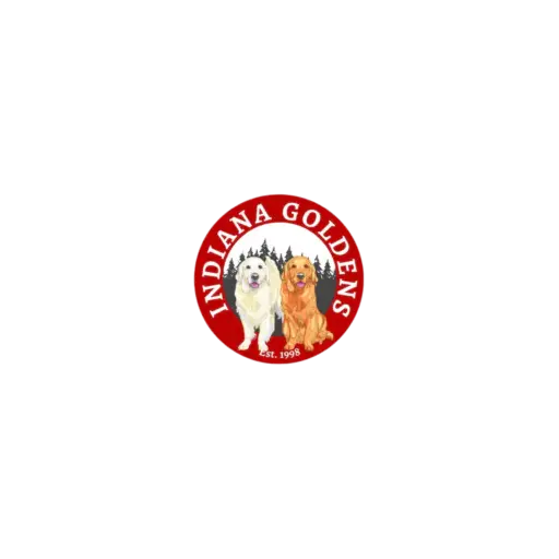 indianagoldens.com