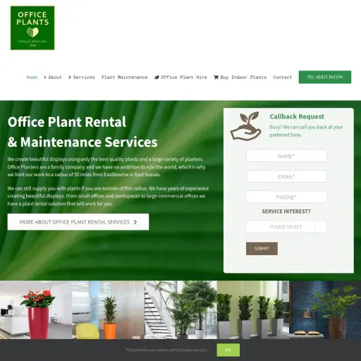 Indoor Plants