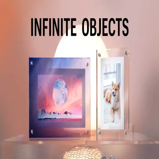 Infinite Objects
