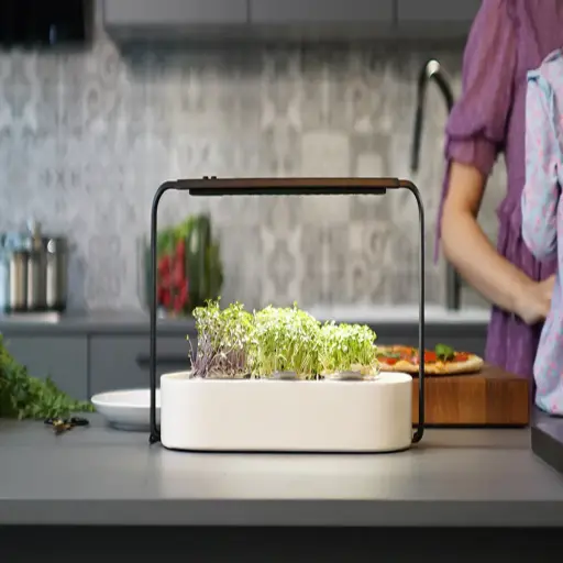 ingarden.com
