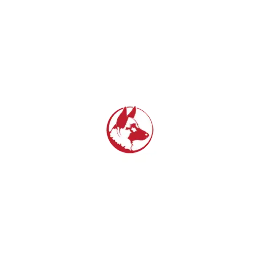 instantesa.com