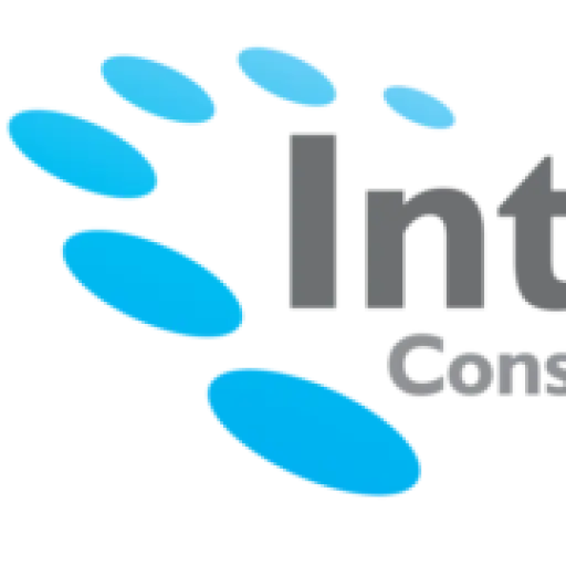 InterBiz Consulting Group