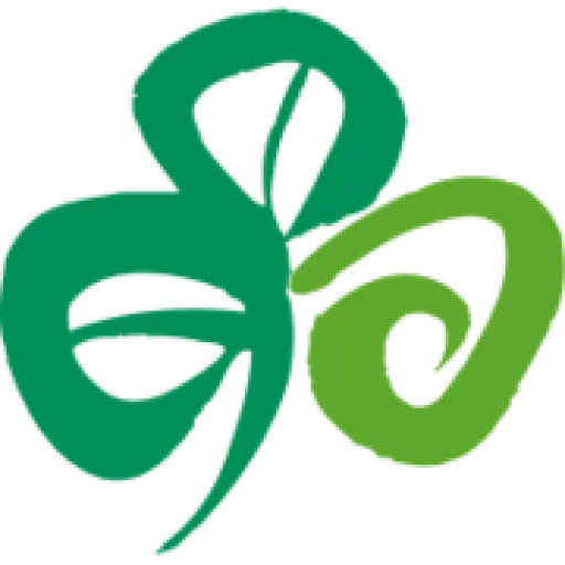 Tourism Ireland US