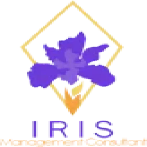 irismanagementconsultant.com