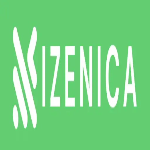 IZenica Technologies LLC