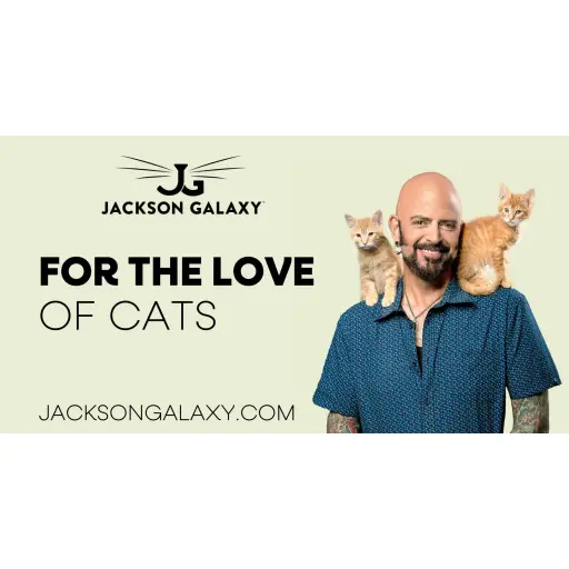 Jackson Galaxy
