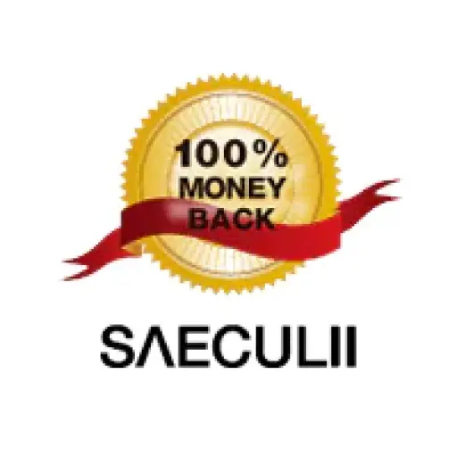 SAECULII TRANSLATION JAPAN