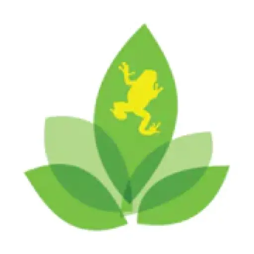 Josh's Frogs