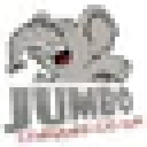 Jumbo Cheques