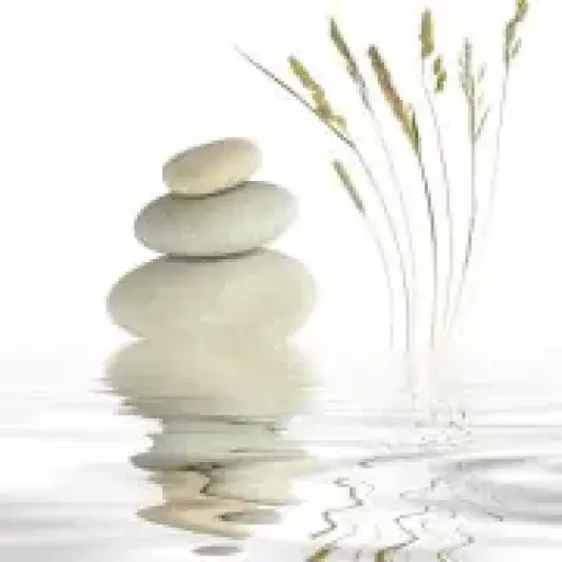 Karen Buur - Liv i balance