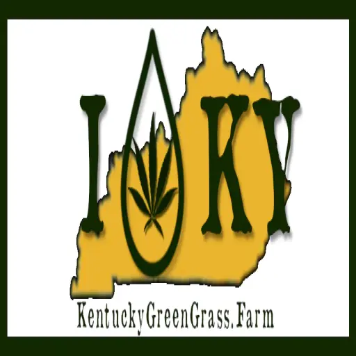 Kentucky Green Grass