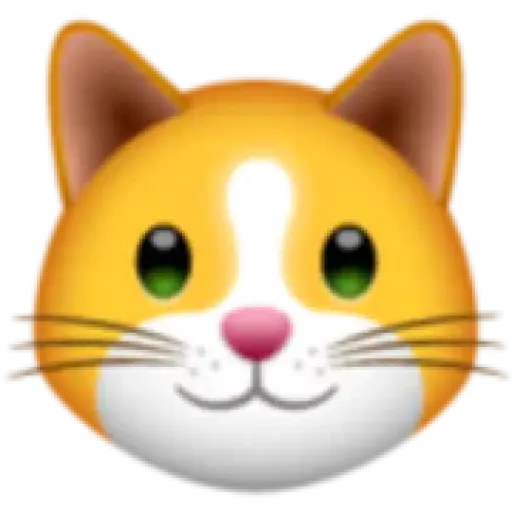 kitten.finance
