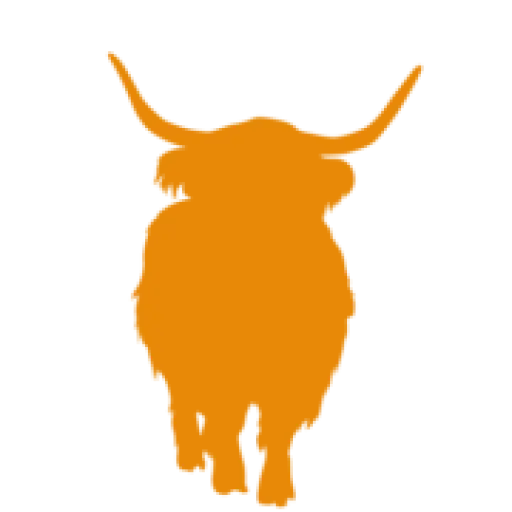 Kjø