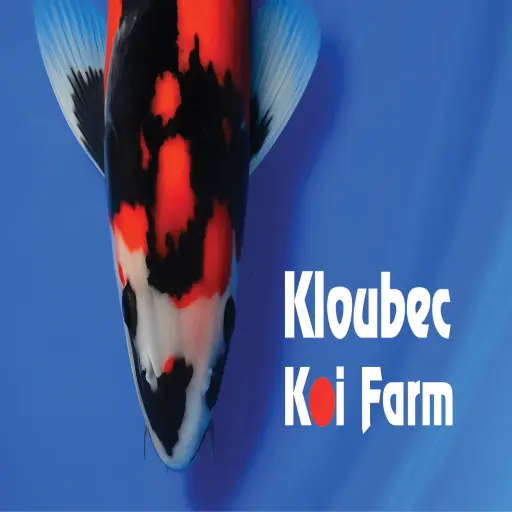 Kloubec Fisheries