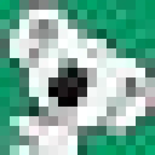 Koalagp