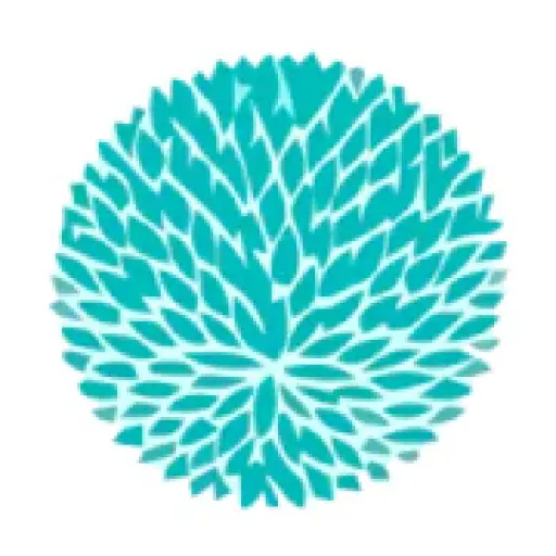 ktcollection.com