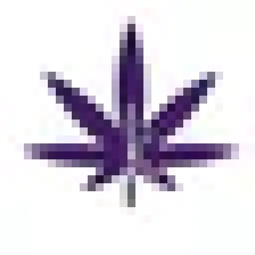 kuribl.com