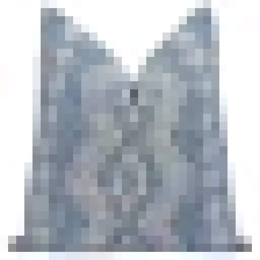 landofpillows.com