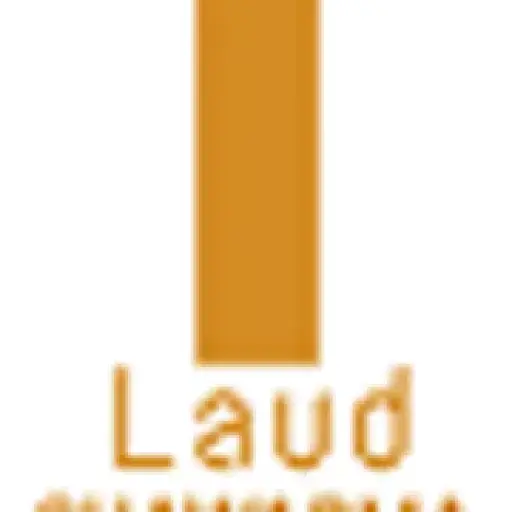 Laud Naija Shawarma
