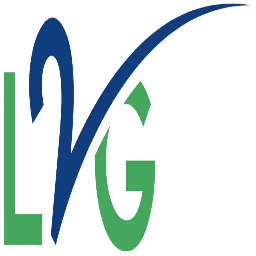 Leap2growth - Business Strategist