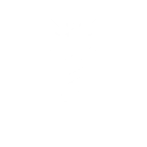 Learnforth University