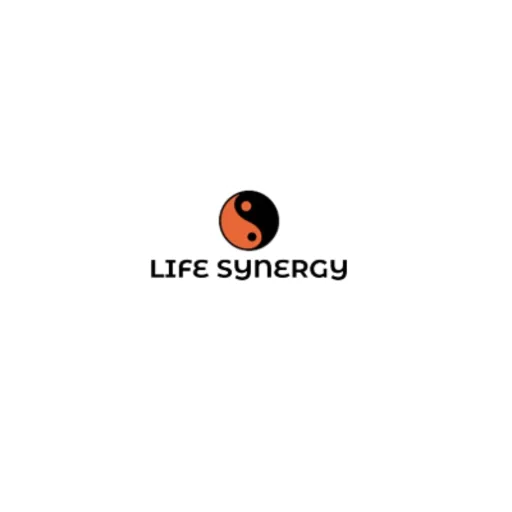 Life Synergy Retreat
