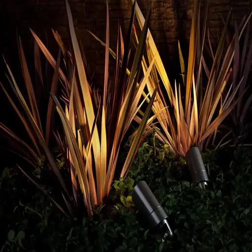 Lighting Disty