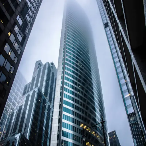 Light Vision Group