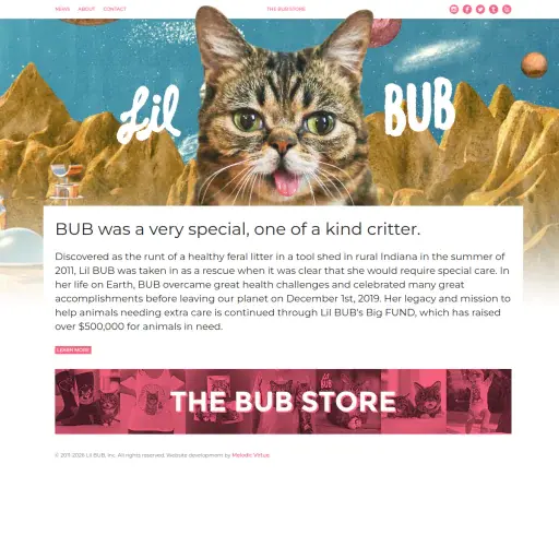 lilbub.com