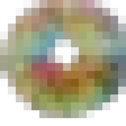 Lilshopofspores