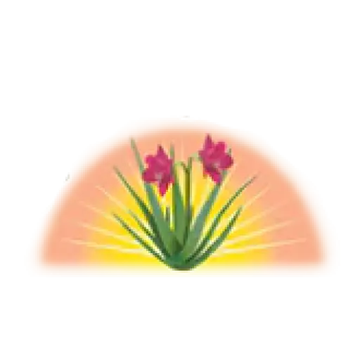 Lily Of The Desert