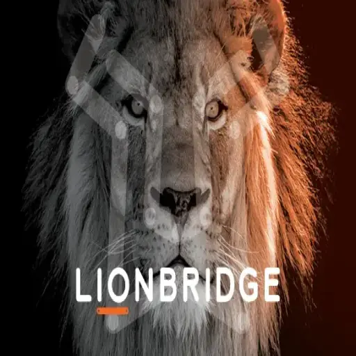 Lionbridge Technologies, LLC