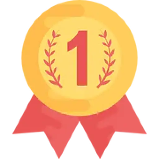LionRank.net affordable SEO