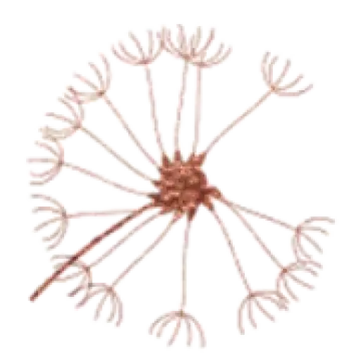 Losangelestherapyinstitute