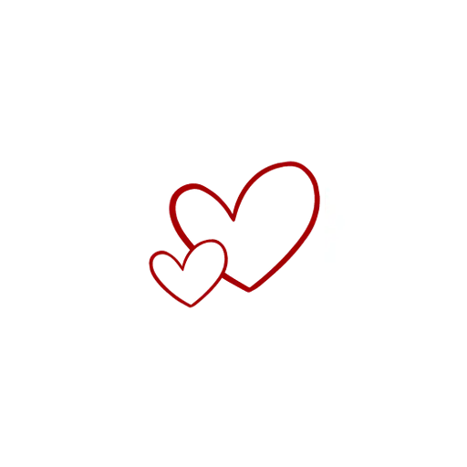 Love Coach Academy