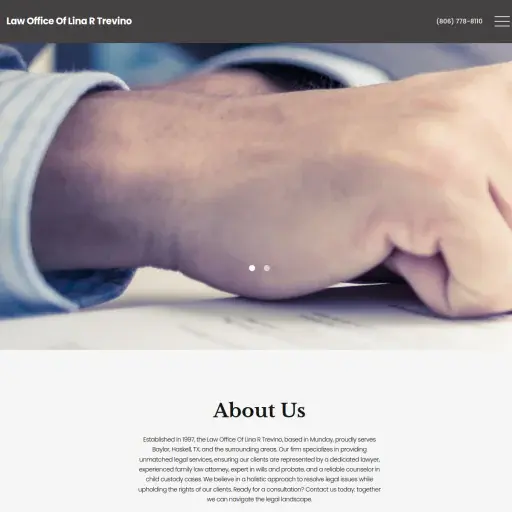Law Office Of Lina R Trevino