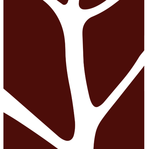 Lylko Studio